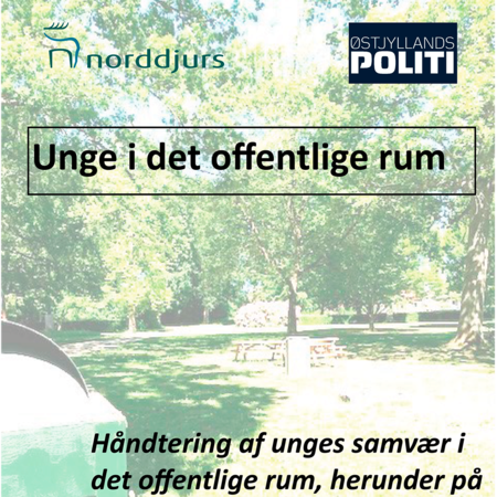 "Unge i det offentlige rum"